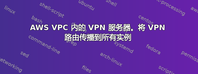 AWS VPC 内的 VPN 服务器。将 VPN 路由传播到所有实例