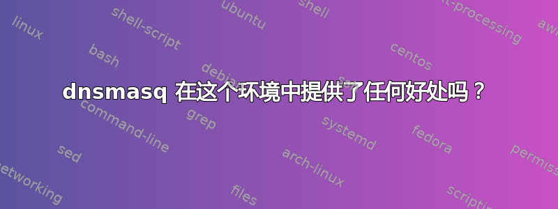 dnsmasq 在这个环境中提供了任何好处吗？