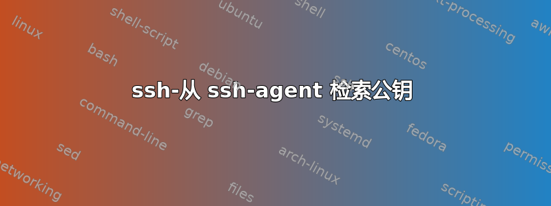 ssh-从 ssh-agent 检索公钥