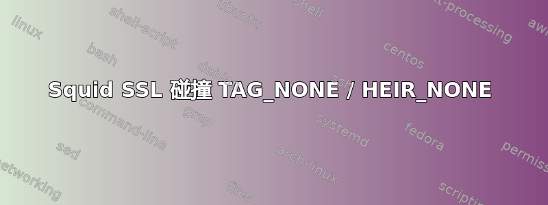 Squid SSL 碰撞 TAG_NONE / HEIR_NONE