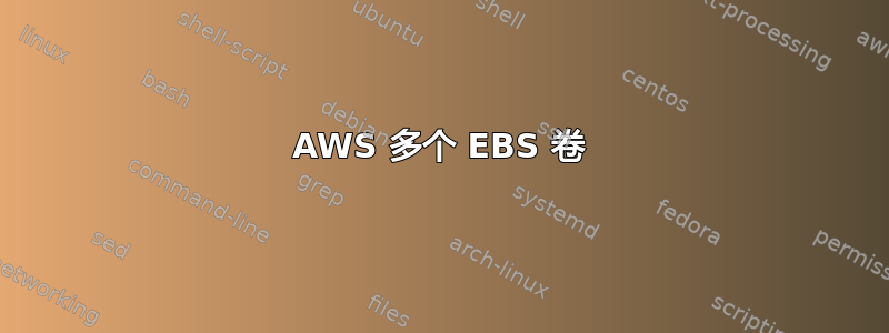 AWS 多个 EBS 卷