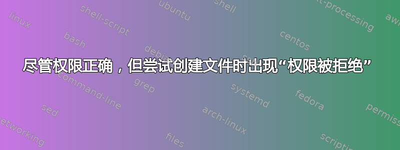 尽管权限正确，但尝试创建文件时出现“权限被拒绝”