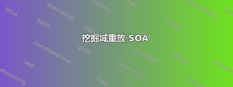 挖掘域重放 SOA