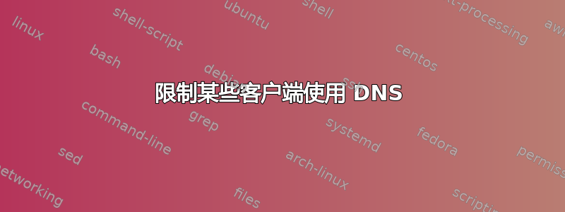 限制某些客户端使用 DNS