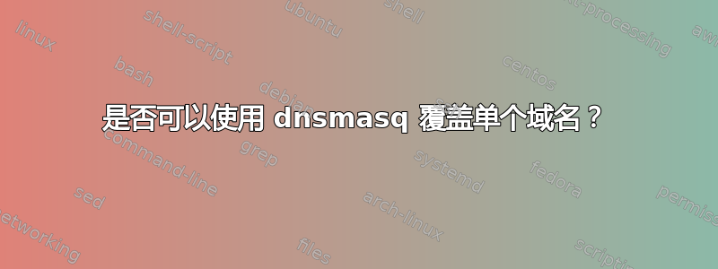 是否可以使用 dnsmasq 覆盖单个域名？