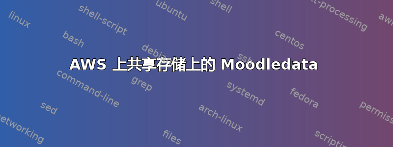 AWS 上共享存储上的 Moodledata