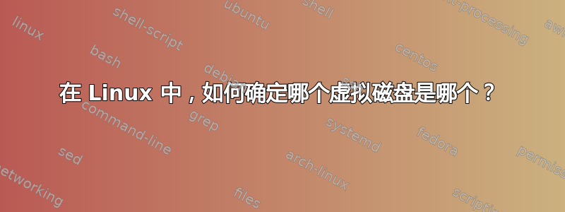 在 Linux 中，如何确定哪个虚拟磁盘是哪个？