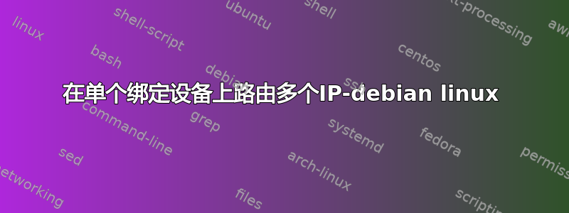 在单个绑定设备上路由多个IP-debian linux