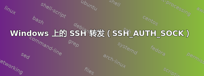 Windows 上的 SSH 转发（SSH_AUTH_SOCK）