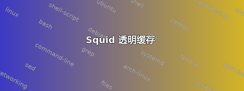 Squid 透明缓存