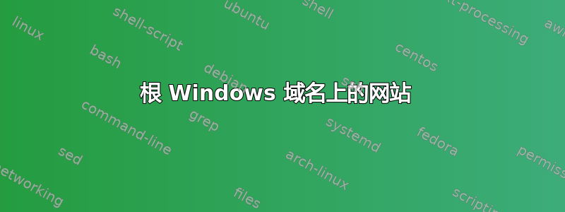 根 Windows 域名上的网站 