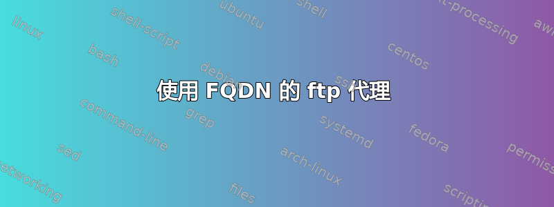 使用 FQDN 的 ftp 代理