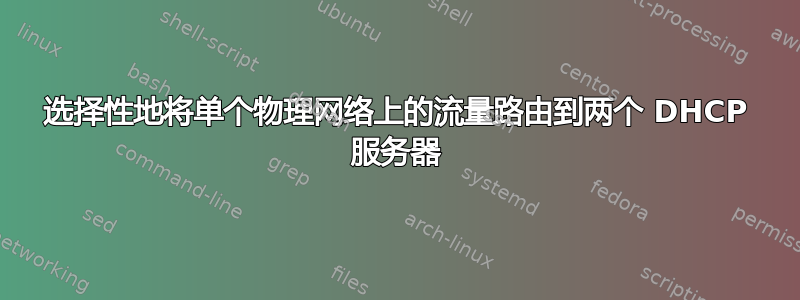 选择性地将单个物理网络上的流量路由到两个 DHCP 服务器