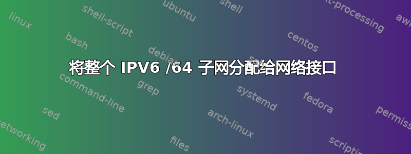 将整个 IPV6 /64 子网分配给网络接口