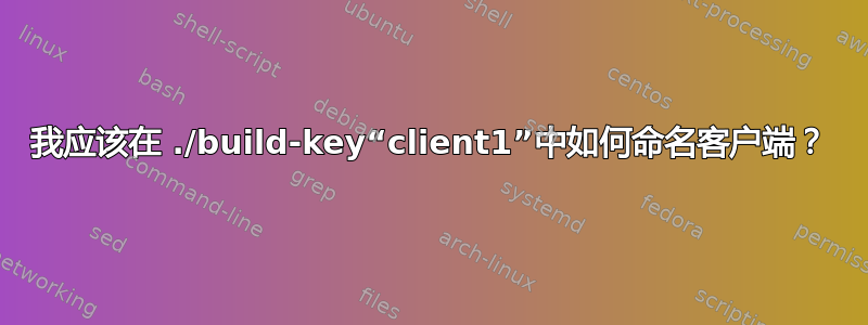 我应该在 ./build-key“client1”中如何命名客户端？