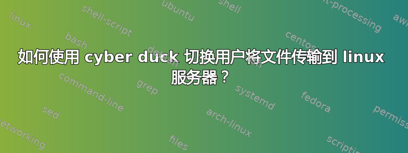 如何使用 cyber duck 切换用户将文件传输到 linux 服务器？