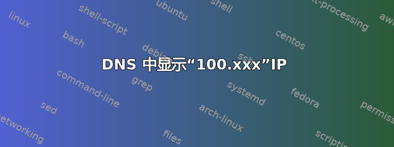 DNS 中显示“100.xxx”IP