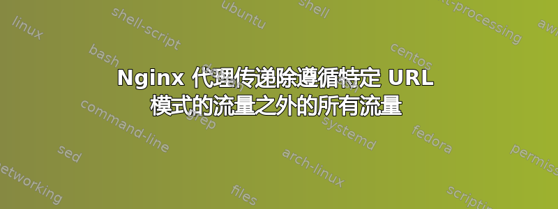 Nginx 代理传递除遵循特定 URL 模式的流量之外的所有流量