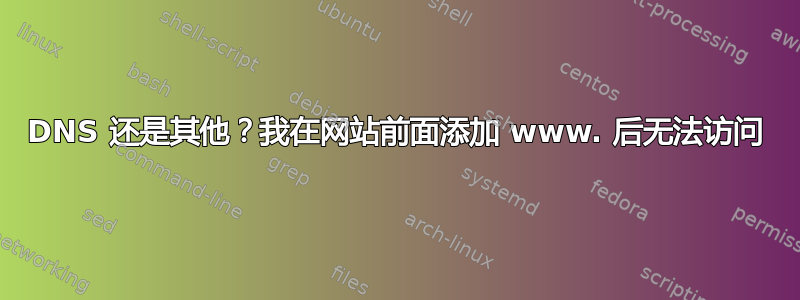 DNS 还是其他？我在网站前面添加 www. 后无法访问