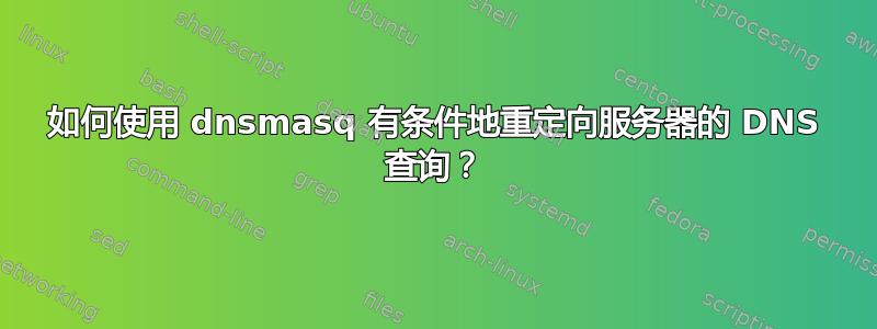 如何使用 dnsmasq 有条件地重定向服务器的 DNS 查询？