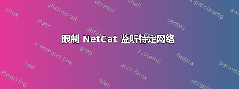 限制 NetCat 监听特定网络