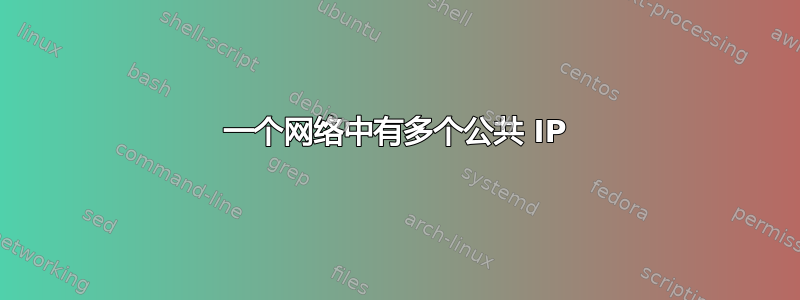 一个网络中有多个公共 IP