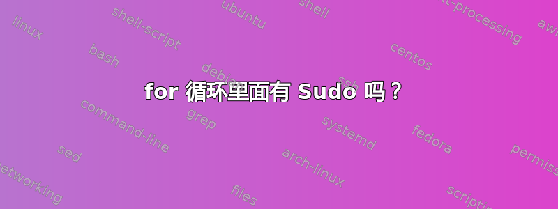 for 循环里面有 Sudo 吗？