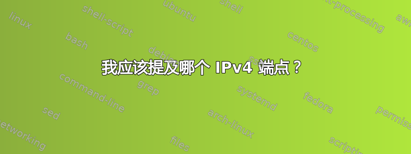 我应该提及哪个 IPv4 端点？