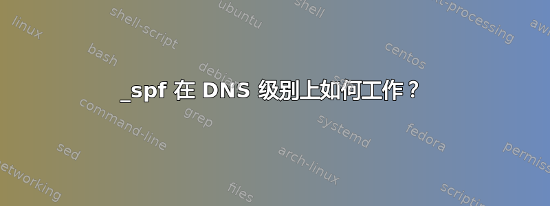 _spf 在 DNS 级别上如何工作？