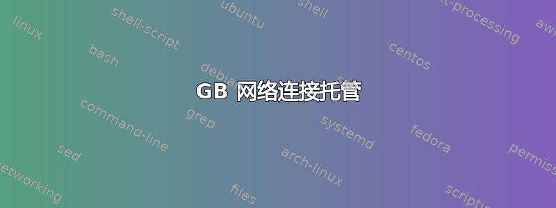 1 GB 网络连接托管