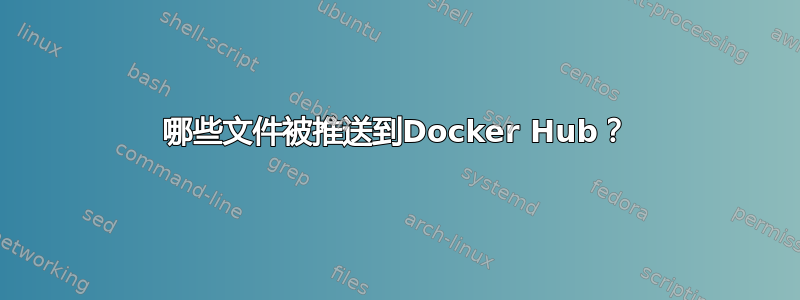 哪些文件被推送到Docker Hub？