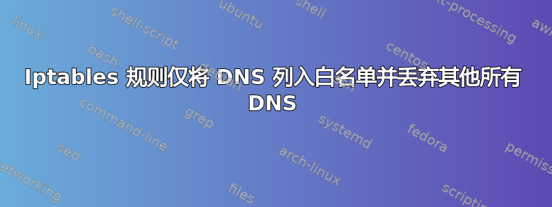 Iptables 规则仅将 DNS 列入白名单并丢弃其他所有 DNS