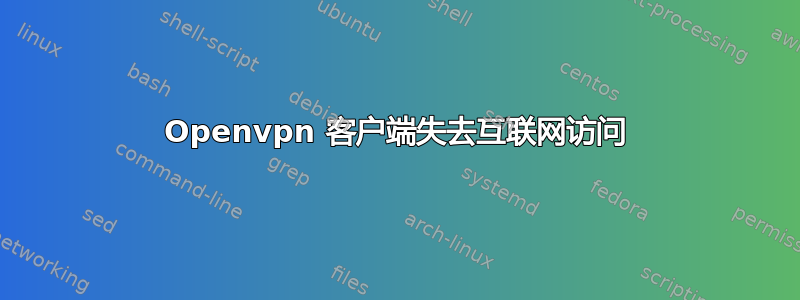 Openvpn 客户端失去互联网访问