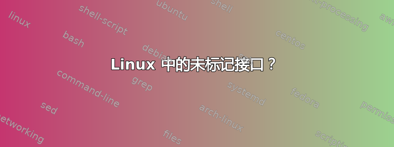 Linux 中的未标记接口？