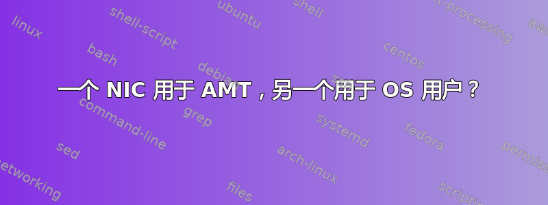 一个 NIC 用于 AMT，另一个用于 OS 用户？