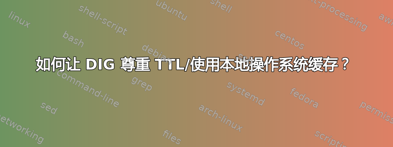 如何让 DIG 尊重 TTL/使用本地操作系统缓存？