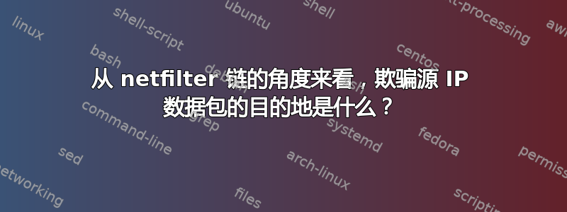 从 netfilter 链的角度来看，欺骗源 IP 数据包的目的地是什么？