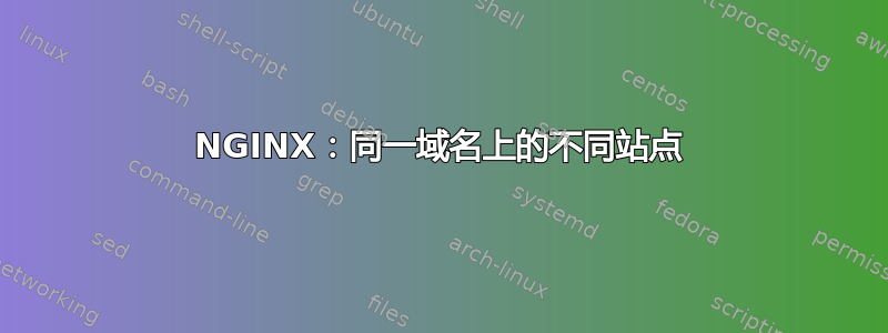 NGINX：同一域名上的不同站点