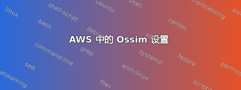 AWS 中的 Ossim 设置