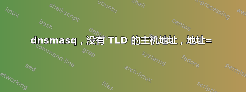 dnsmasq，没有 TLD 的主机地址，地址=