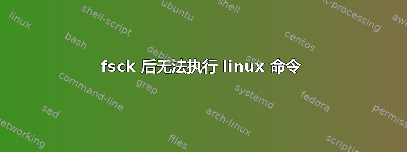 fsck 后无法执行 linux 命令