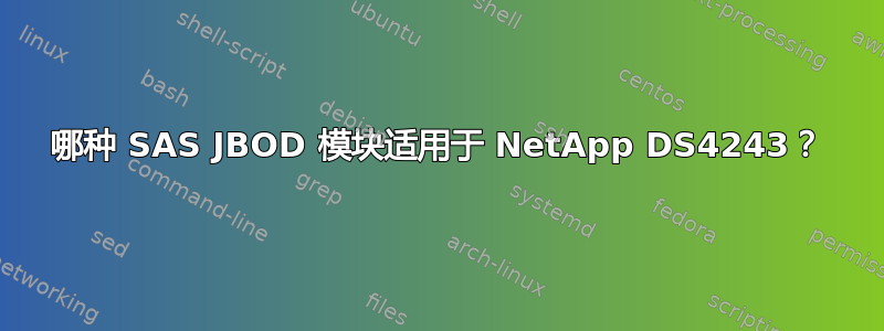 哪种 SAS JBOD 模块适用于 NetApp DS4243？