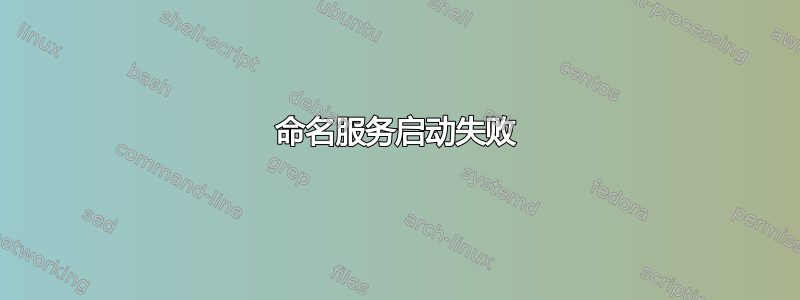 命名服务启动失败