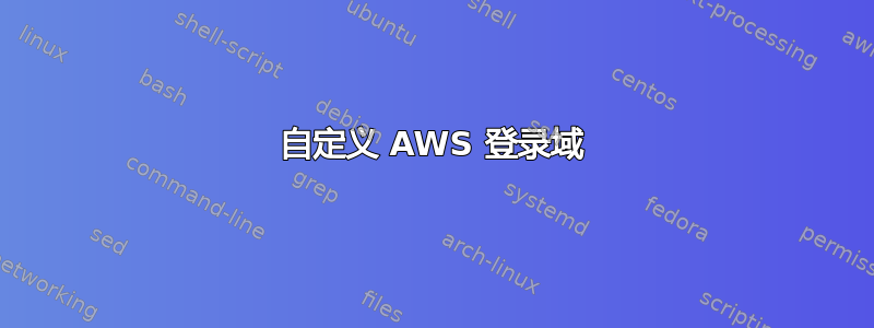 自定义 AWS 登录域