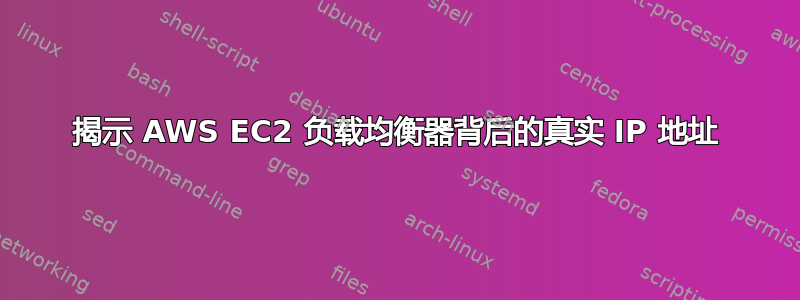 揭示 AWS EC2 负载均衡器背后的真实 IP 地址