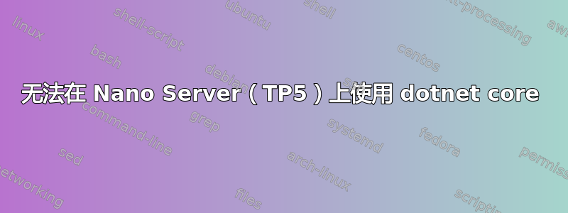 无法在 Nano Server（TP5）上使用 dotnet core