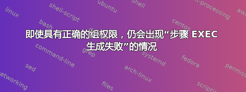 即使具有正确的组权限，仍会出现“步骤 EXEC 生成失败”的情况