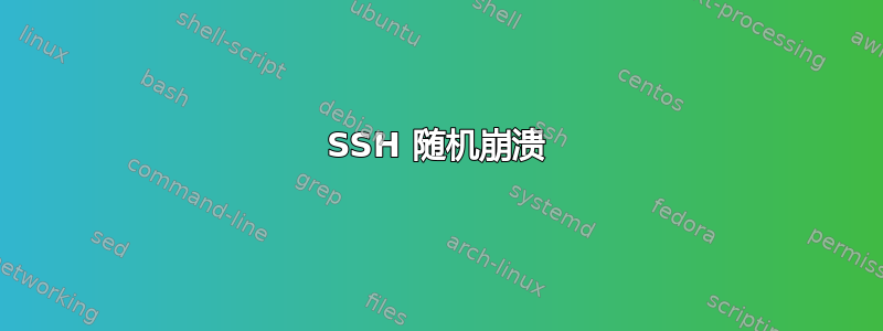 SSH 随机崩溃