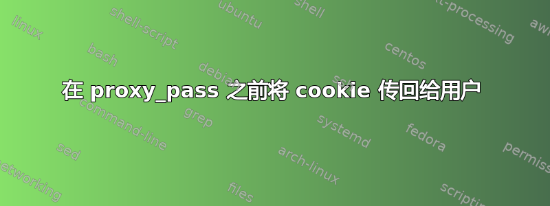 在 proxy_pass 之前将 cookie 传回给用户