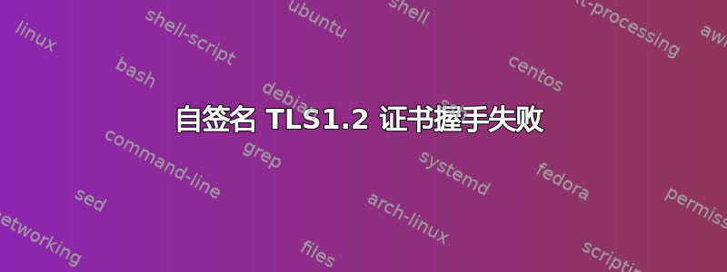 自签名 TLS1.2 证书握手失败